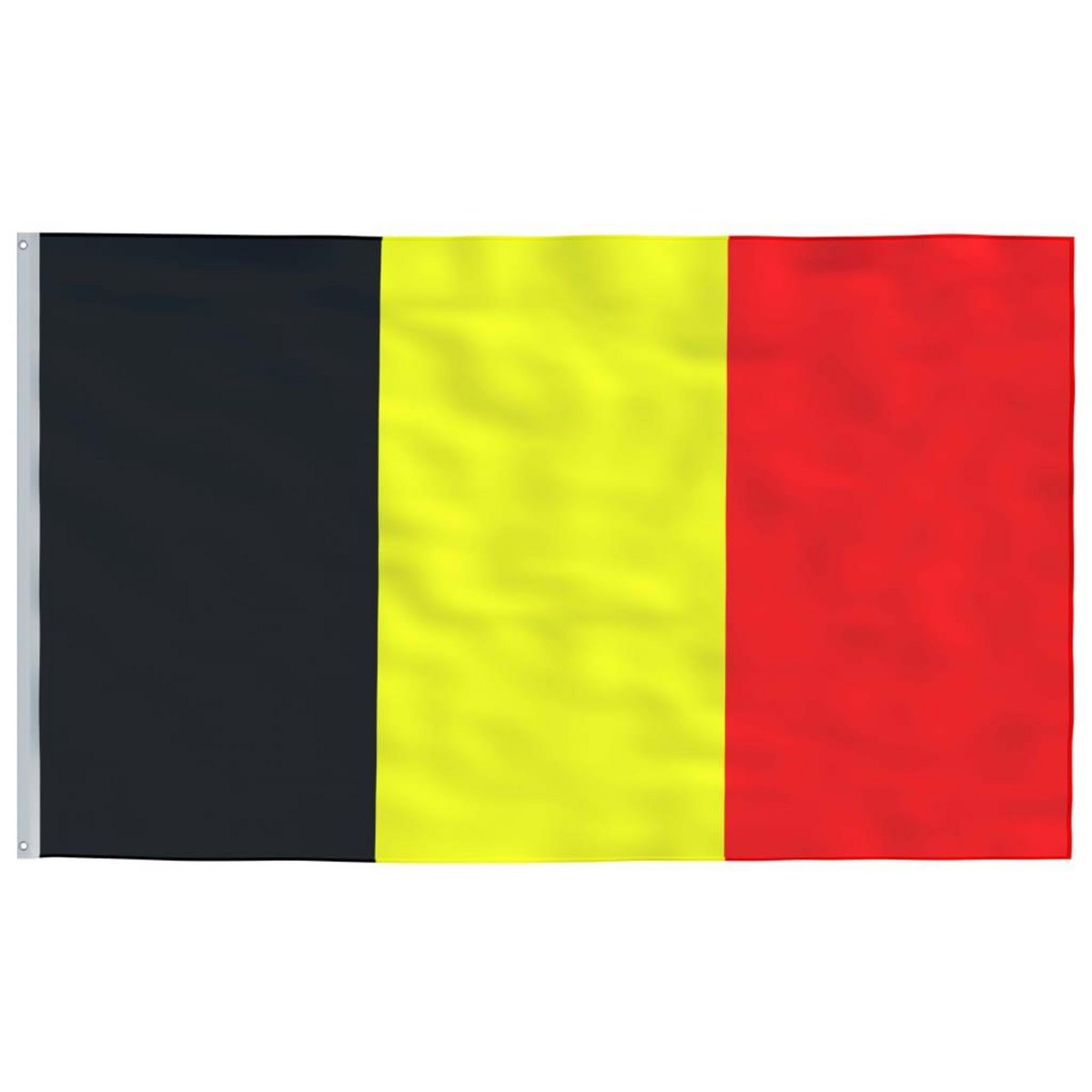 VIDAXL Drapeau de la Belgique et mat 5,55 m Aluminium