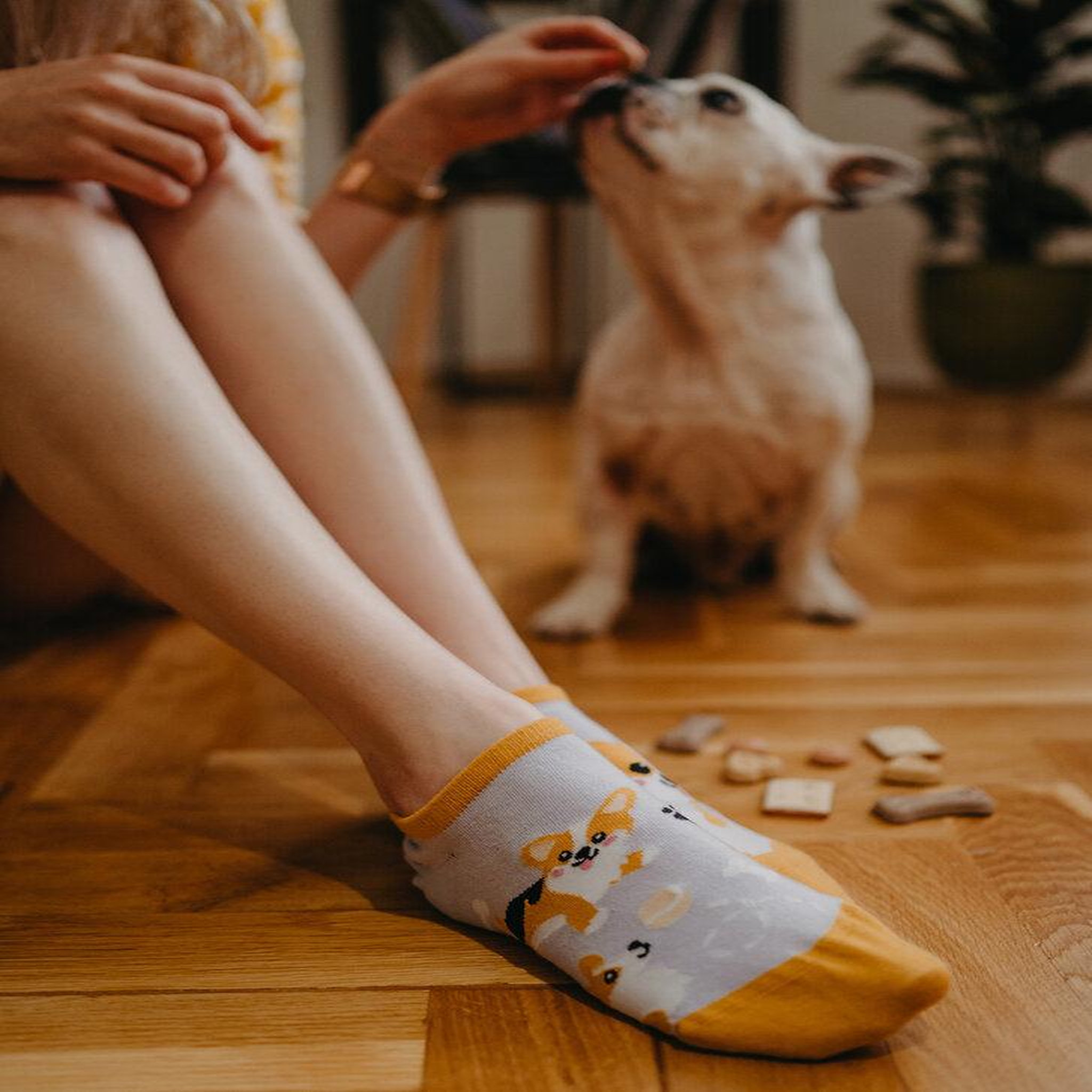 Voir la diapositive 5 : DEDOLES Socquettes invisibles chiens corgis