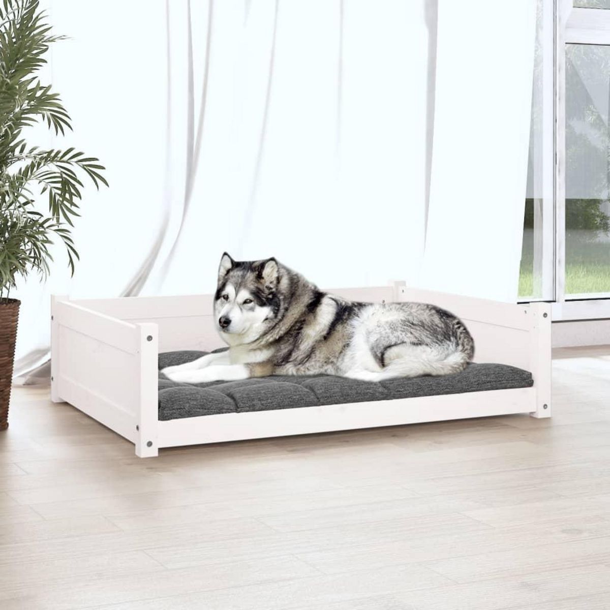 VIDAXL Lit pour chien Blanc 105,5x75,5x28 cm Bois de pin solide