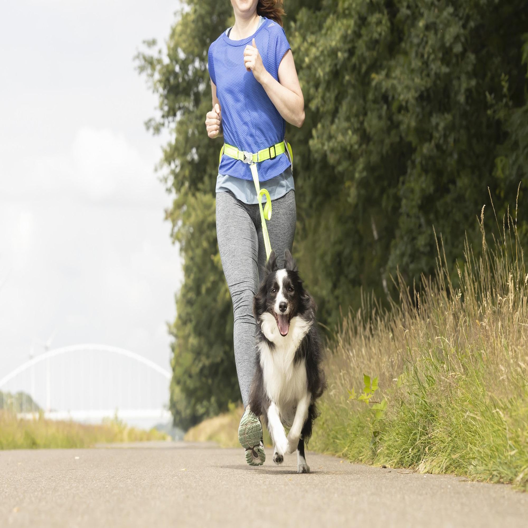 Voir la diapositive 2 : Eden Laisse de jogging avec ceinture de hanches led pour chien