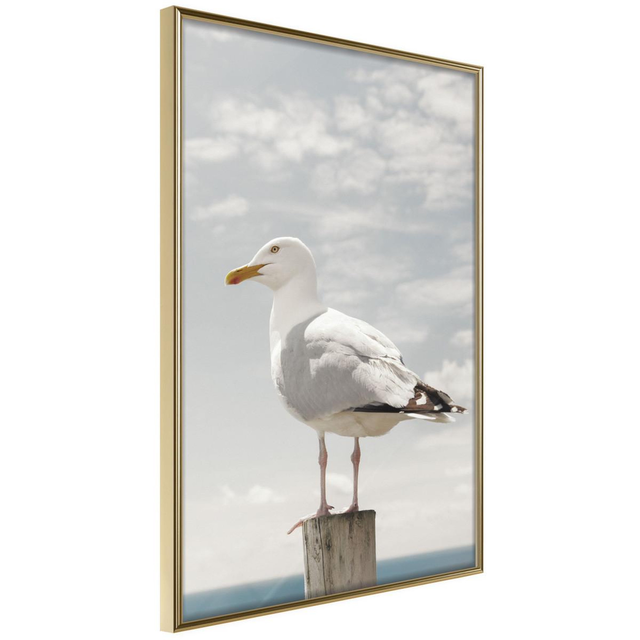 Paris Prix Affiche murale encadrée  curious seagull