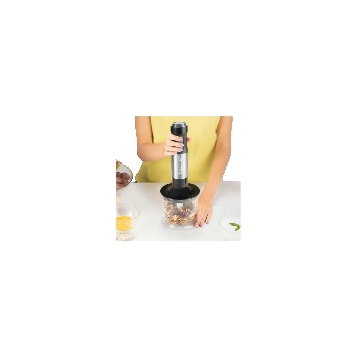 ZELMER Mixeur plongeant Zelmer VARIO puissant 1800 W