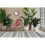 Voir la diapositive 3 : Paris Prix Lot de 2 Chaises Design  Charlize  90cm Rose & Or