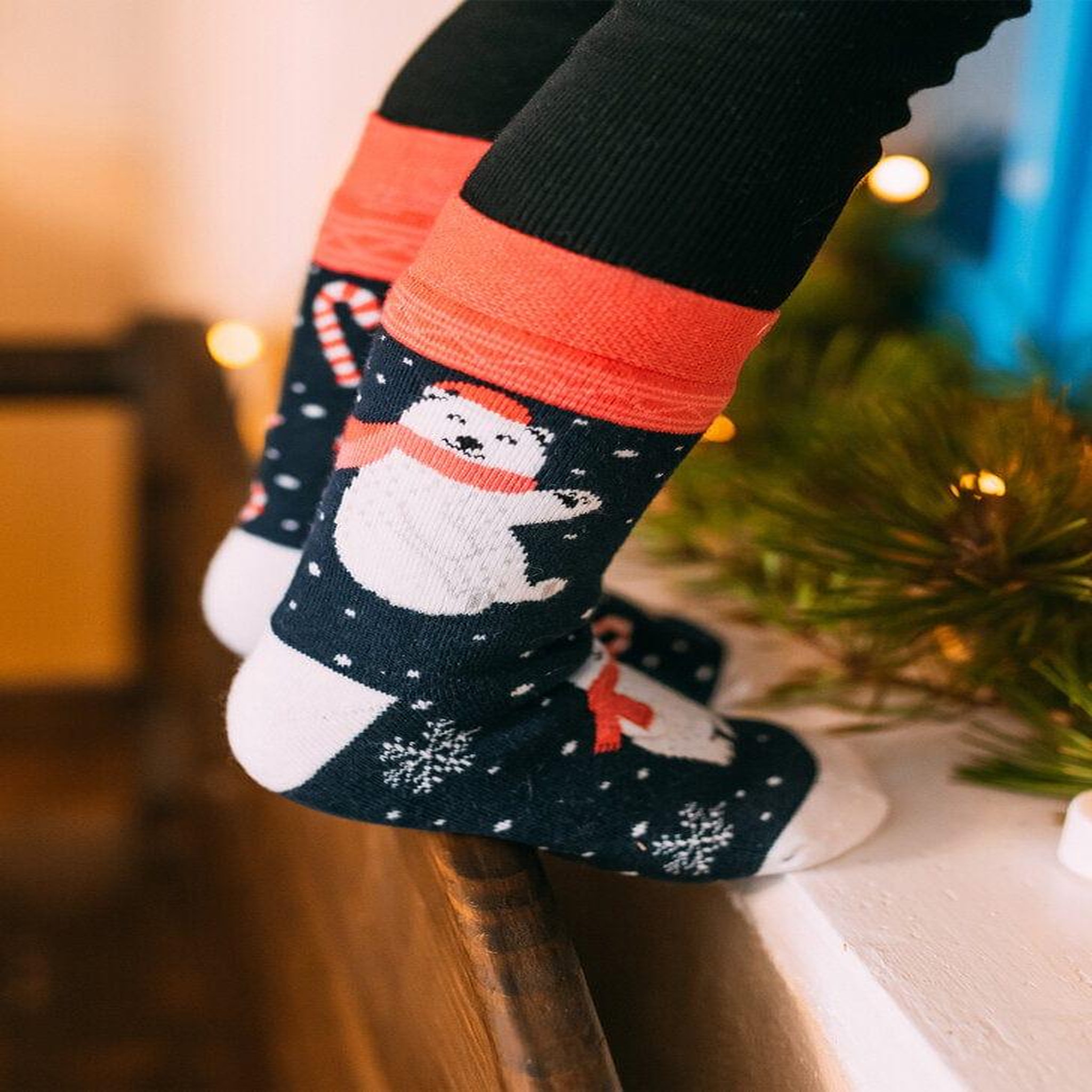 Voir la diapositive 3 : DEDOLES Chaussettes chaudes enfants noël ours polaires