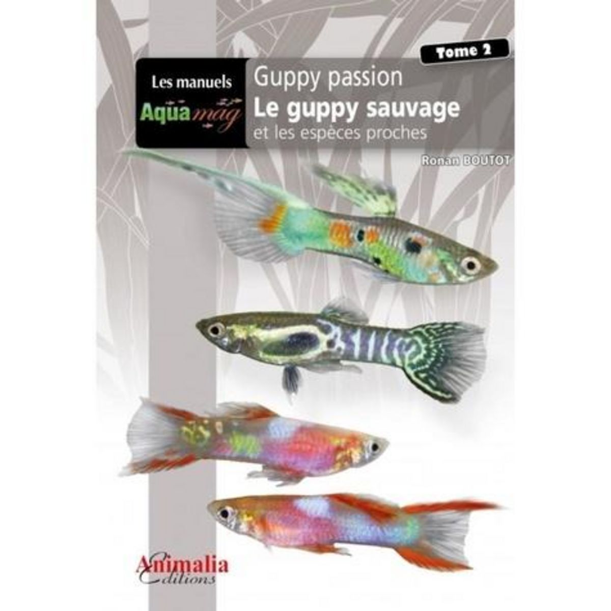 GUPPY PASSION. DE L’INITIATION AUX CONCOURS, 2E EDITION, Boutot Ronan