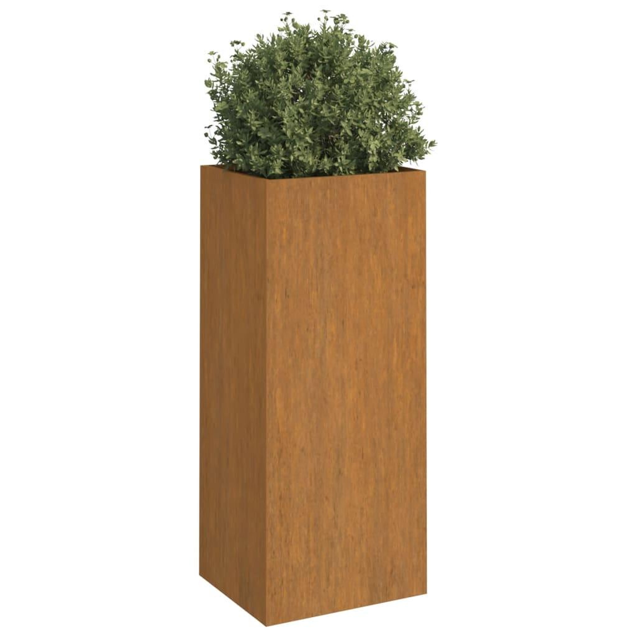 Voir la diapositive 3 : VIDAXL Jardiniere 32x29x75 cm acier corten