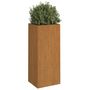 Voir la diapositive 3 : VIDAXL Jardiniere 32x29x75 cm acier corten