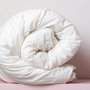 Voir la diapositive 3 : Mortreux Couette blanche chaude anti-moustiques anti-punaises de lit 220x240 cm