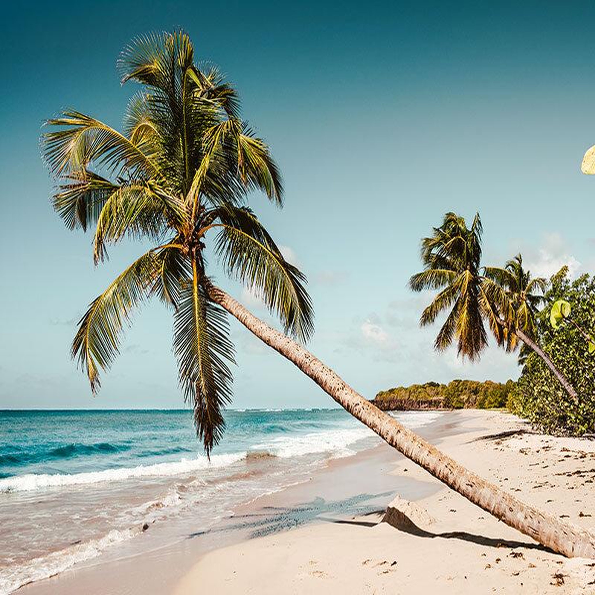 Voir la diapositive 4 : Smartbox Voyage en floride : 5 jours en hôtel 4* à miami avec excursion dans les everglades et les keys - coffret cadeau séjour