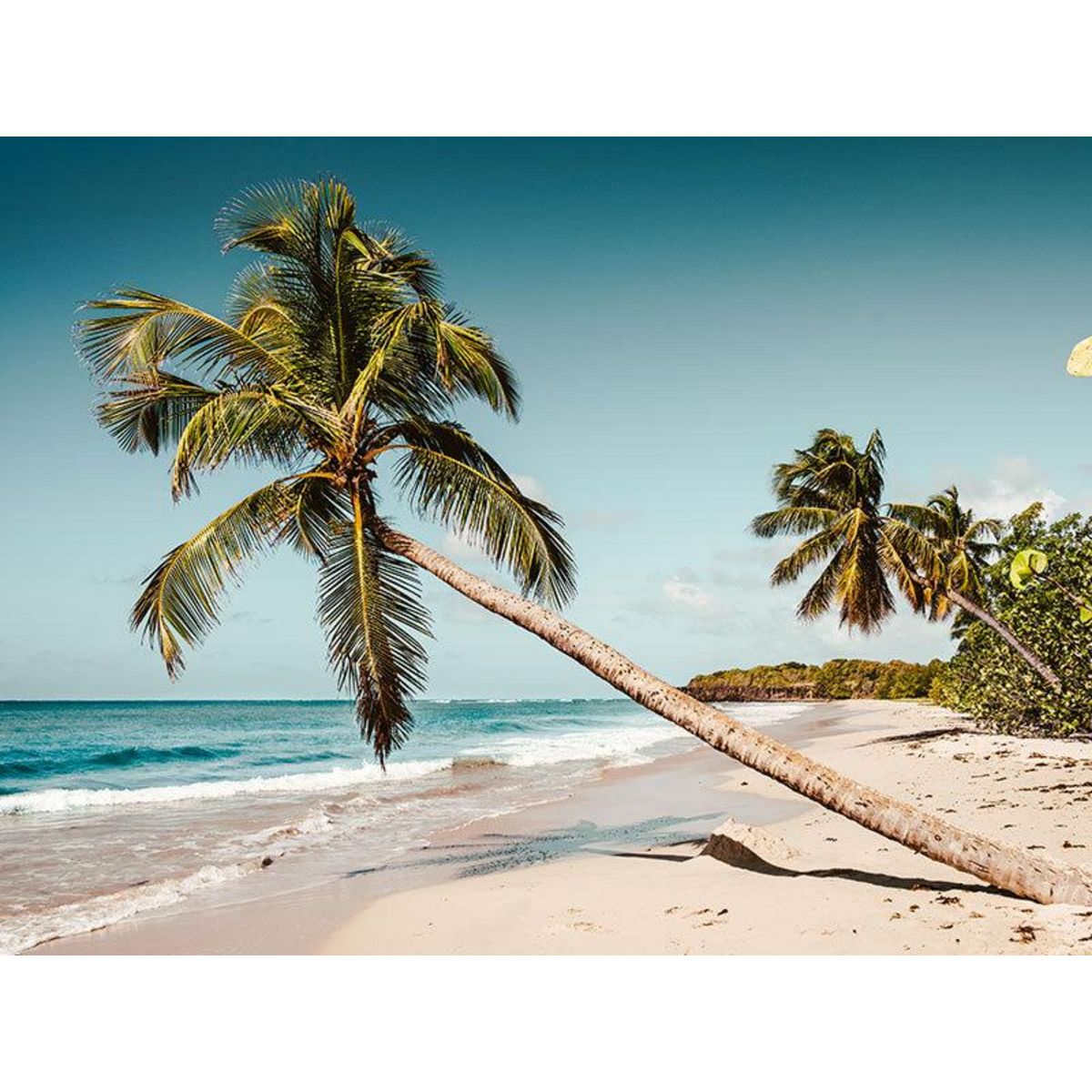 Smartbox Voyage en Floride : 5 jours en hôtel 4* à Miami avec excursion dans les Everglades et les Keys - Coffret Cadeau Séjour