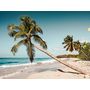 Voir la diapositive 4 : Smartbox Voyage en Floride : 5 jours en hôtel 4* à Miami avec excursion dans les Everglades et les Keys - Coffret Cadeau Séjour