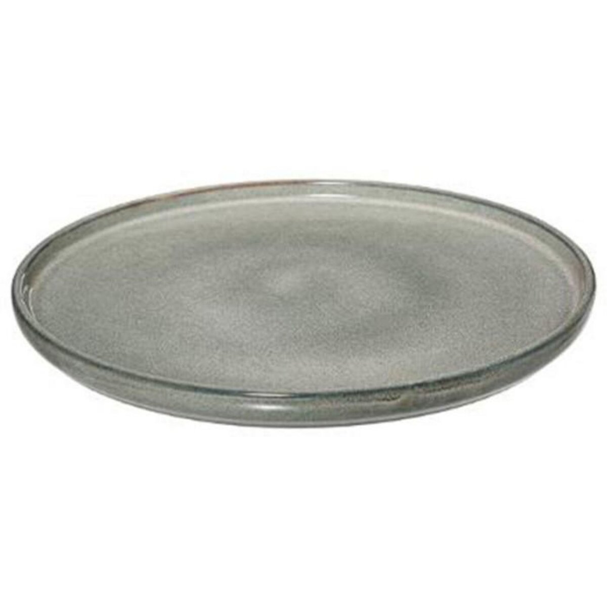 SECRET DE GOURMET Lot de 6 Assiettes Plates  Terre Inconnue  27cm Vert