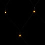 Voir la diapositive 5 : VIDAXL Filet lumineux blanc chaud de Noël 4x4 m 544 LED Int/ext