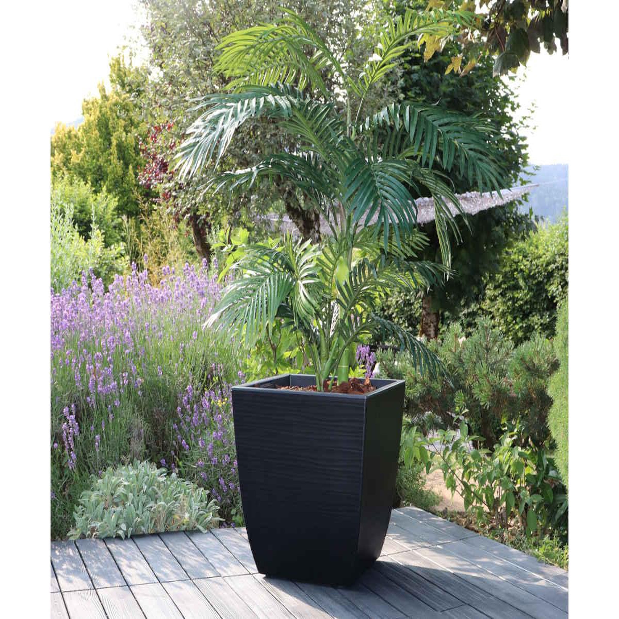 Voir la diapositive 2 : Eda Pot de fleur Stone Diva carré avec bac amovible 43,5 x 44,2 cm - Eda