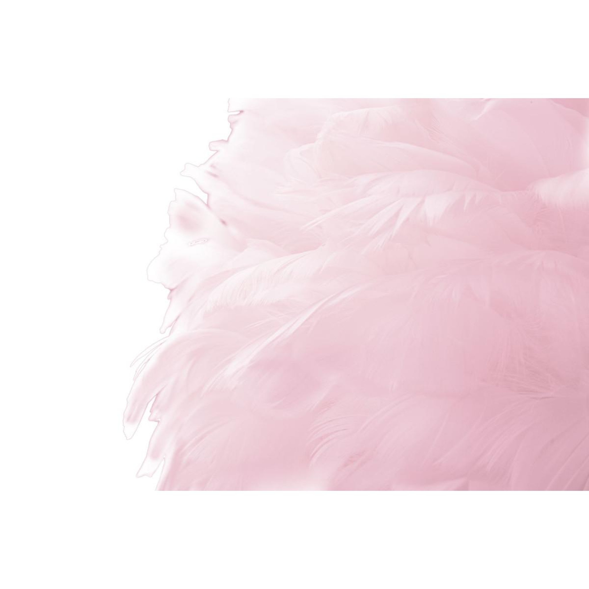 Voir la diapositive 4 : Paris Prix Lampadaire imitation plume  slim  165cm or & rose