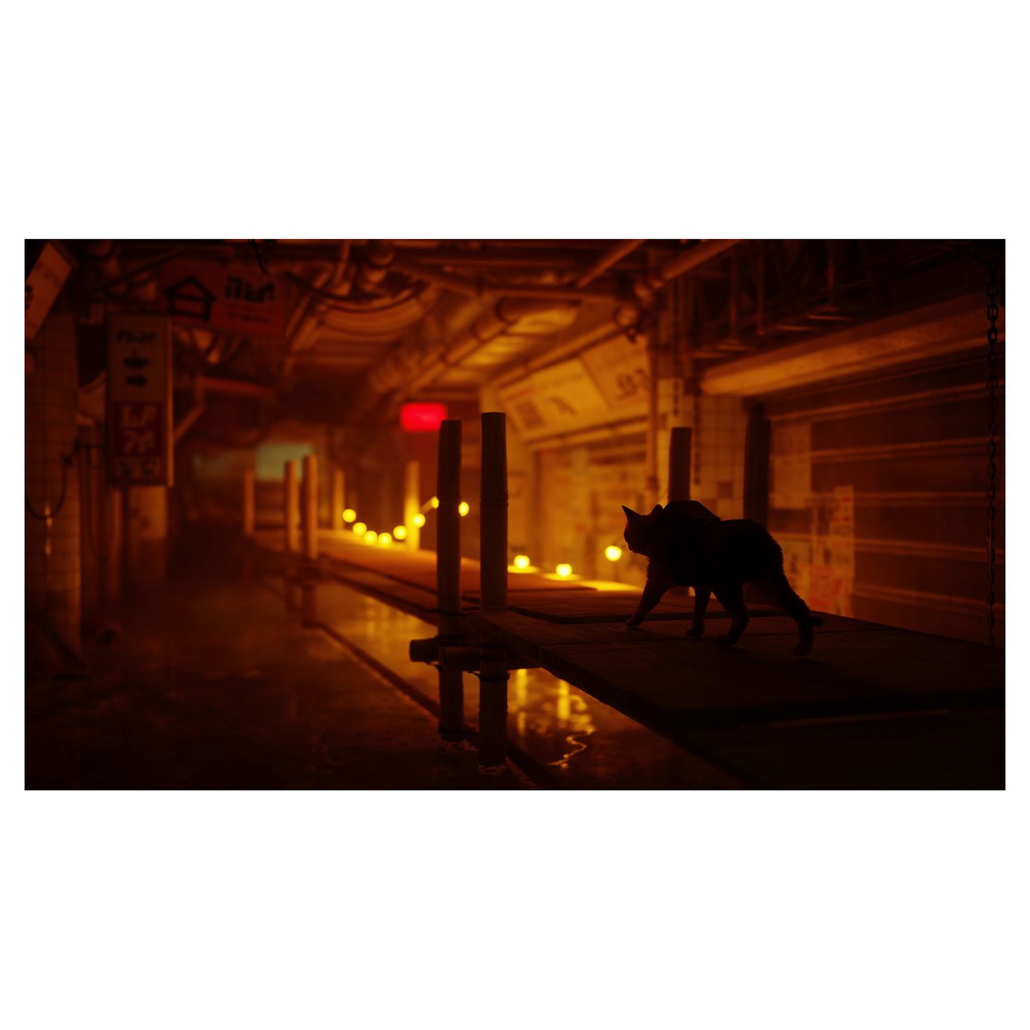 Voir la diapositive 4 : Stray PS5