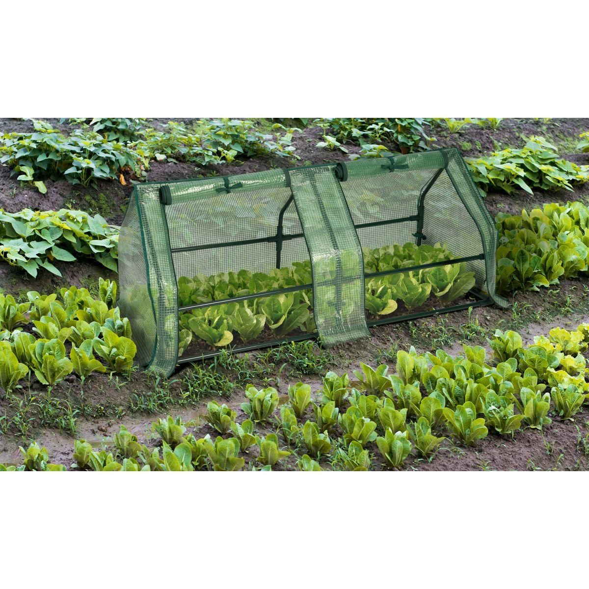 Jardikt Serre de forçage