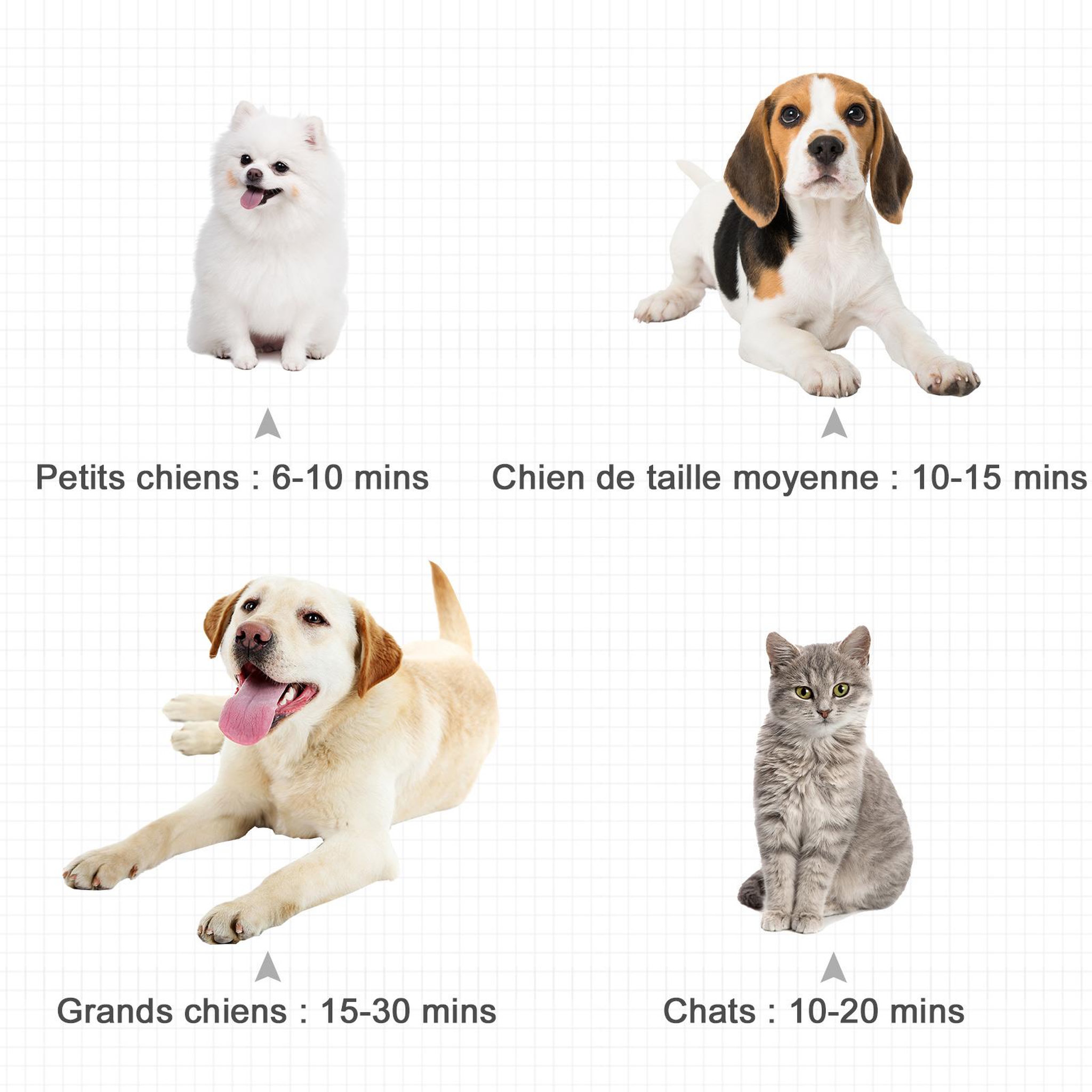 Voir la diapositive 6 : PAWHUT Séchoir sèche-poils toilettage pour chien chat animaux 2400 W - température vitesse réglable - 3 embouts - noir