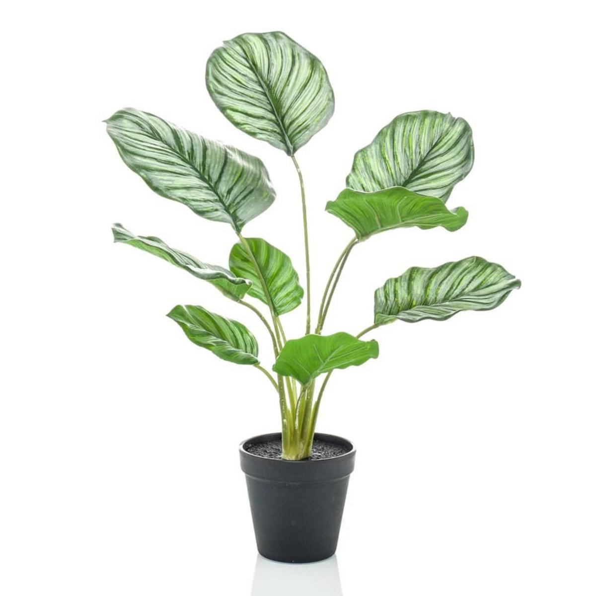 EMERALD Emerald Calathea Orbifolia artificiel 45 cm en pot