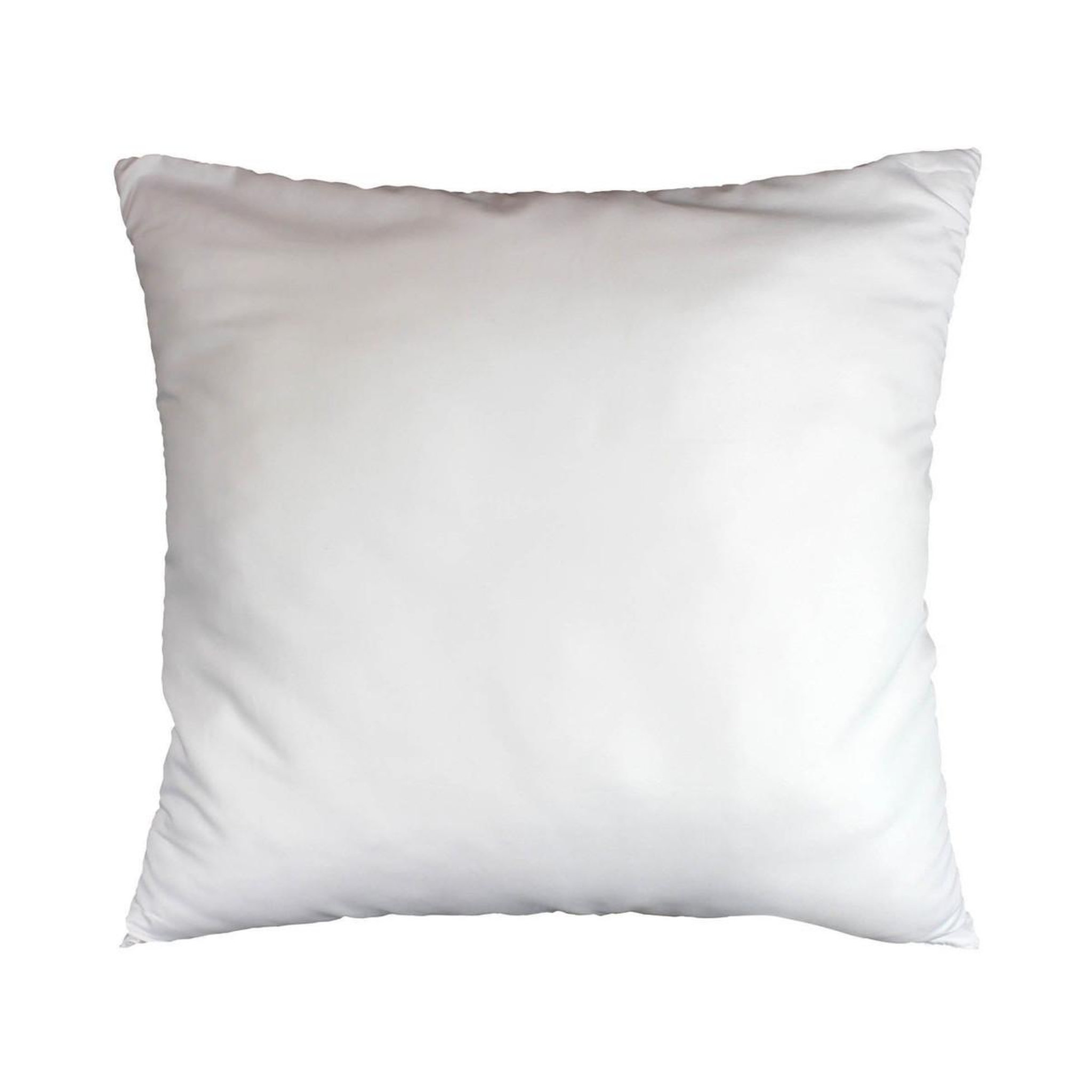 Douceur d'Intérieur Oreiller en Polyester  Anti Acarien  60x60cm Blanc
