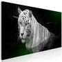 Voir la diapositive 1 : Paris Prix Tableau Imprimé  Shining Tiger Green Narrow