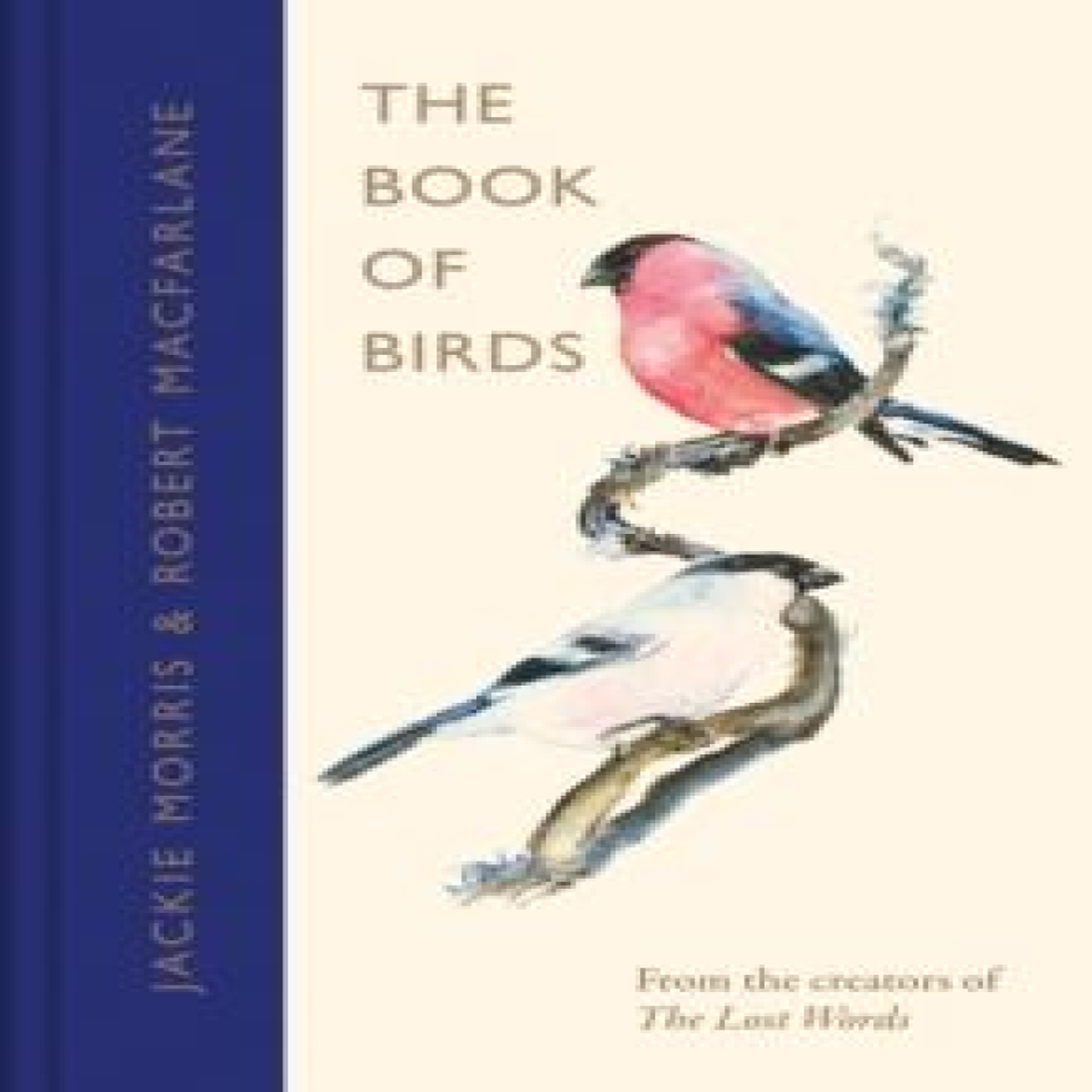 LIVRES The Book of Birds : A Field Guide to Wonder and Loss