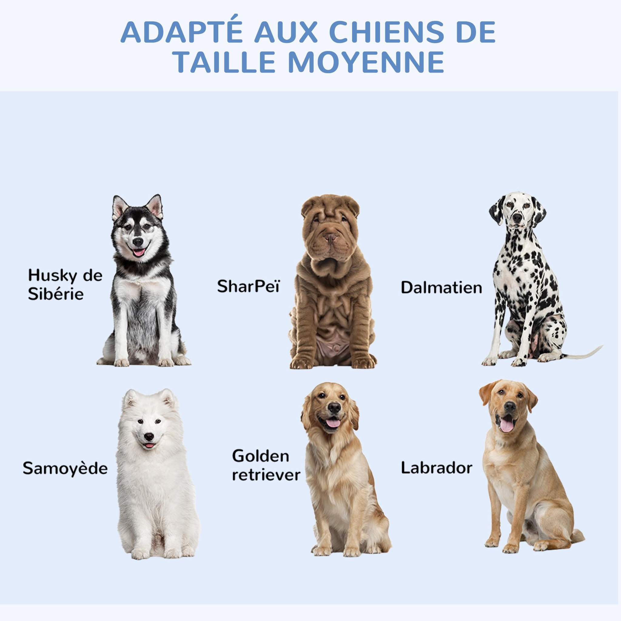Voir la diapositive 5 : PAWHUT Cage de transport pour chien pliable - 2 portes verrouillables - plateau amovible - dim. 121l x 77l x 82h cm - acier abs noir