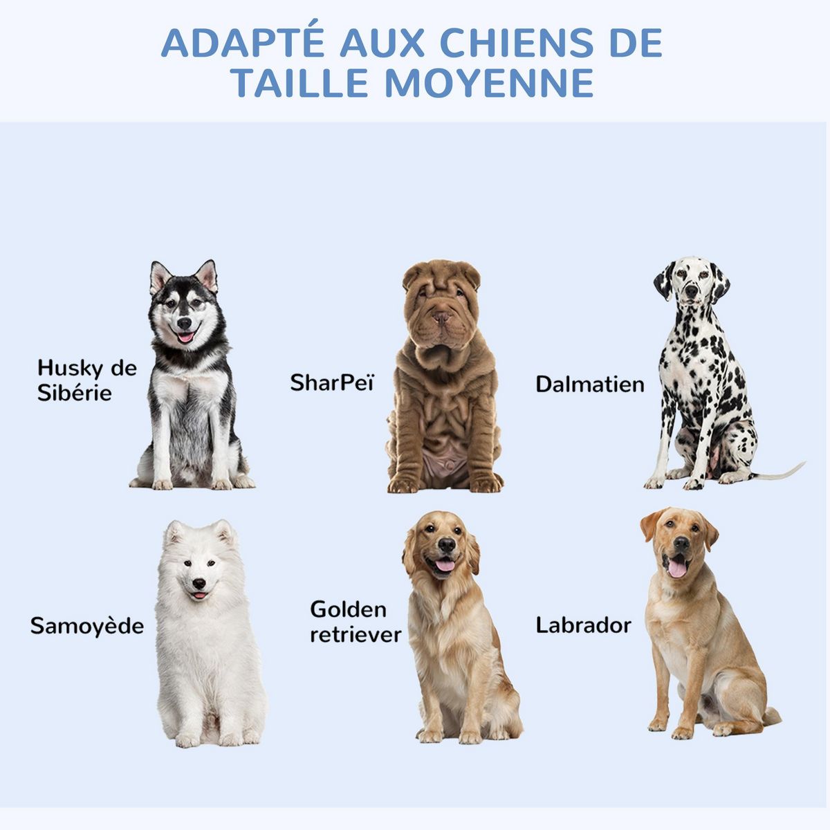 PAWHUT Cage de transport pour chien pliable - 2 portes verrouillables - plateau amovible - dim. 121L x 77l x 82H cm - acier ABS noir