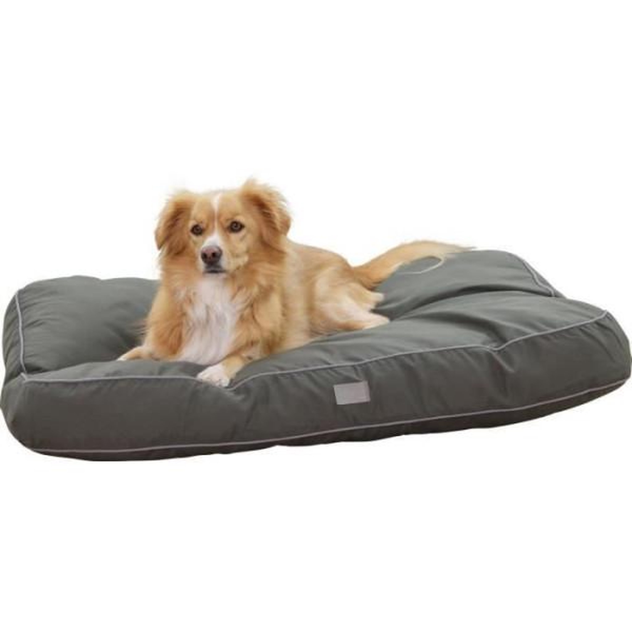 Voir la diapositive 3 : KERBL KERBL - Matelas de sol rembourré L - 80 x 60 x 6 cm - Coussin JEROME - Vert foncé -