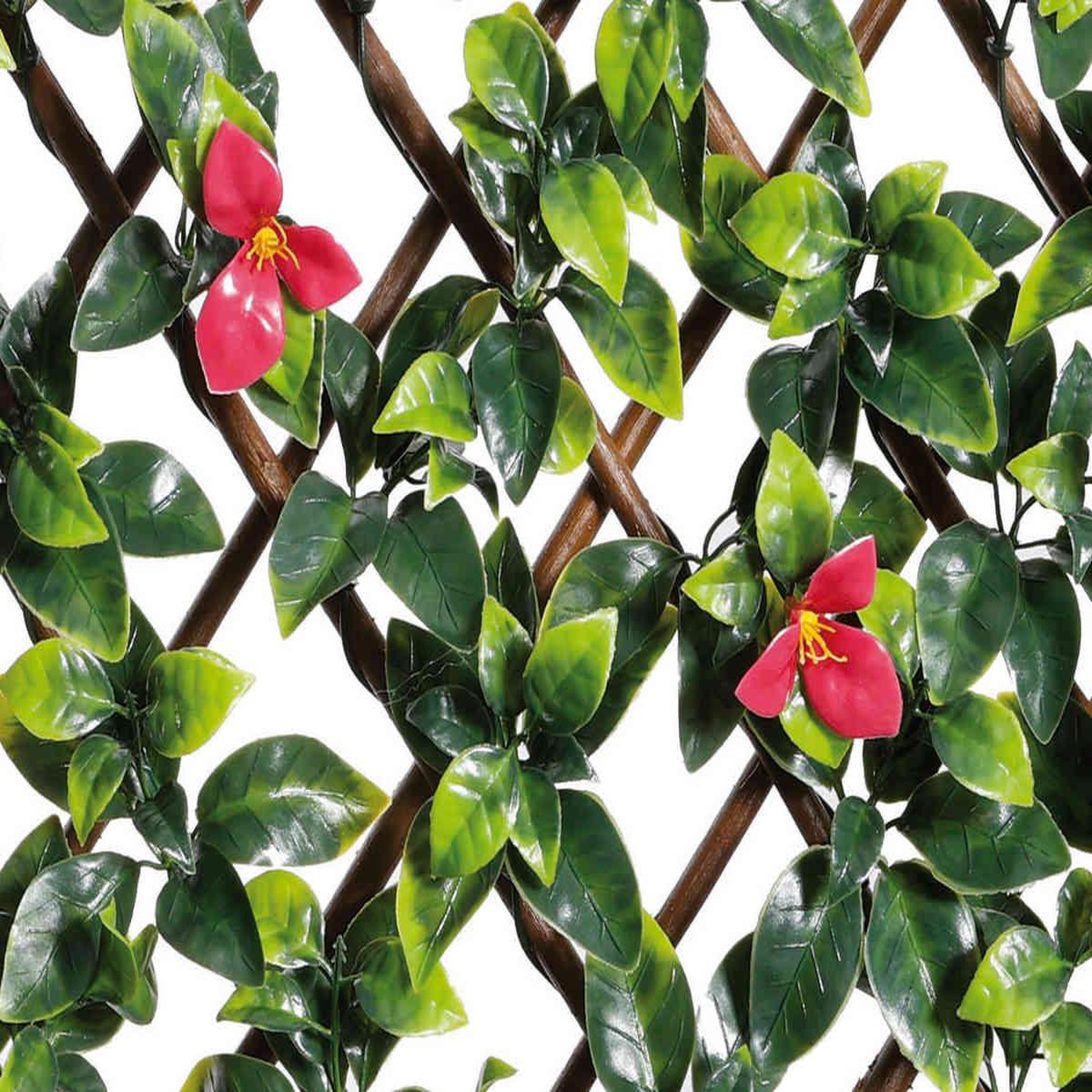 Voir la diapositive 5 : NATURE Treillis extensible en osier avec feuillage - bougainvilliers - 100 x 200 cm - nature