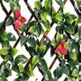 Voir la diapositive 5 : NATURE Treillis extensible en osier avec feuillage - Bougainvilliers - 100 x 200 cm - Nature