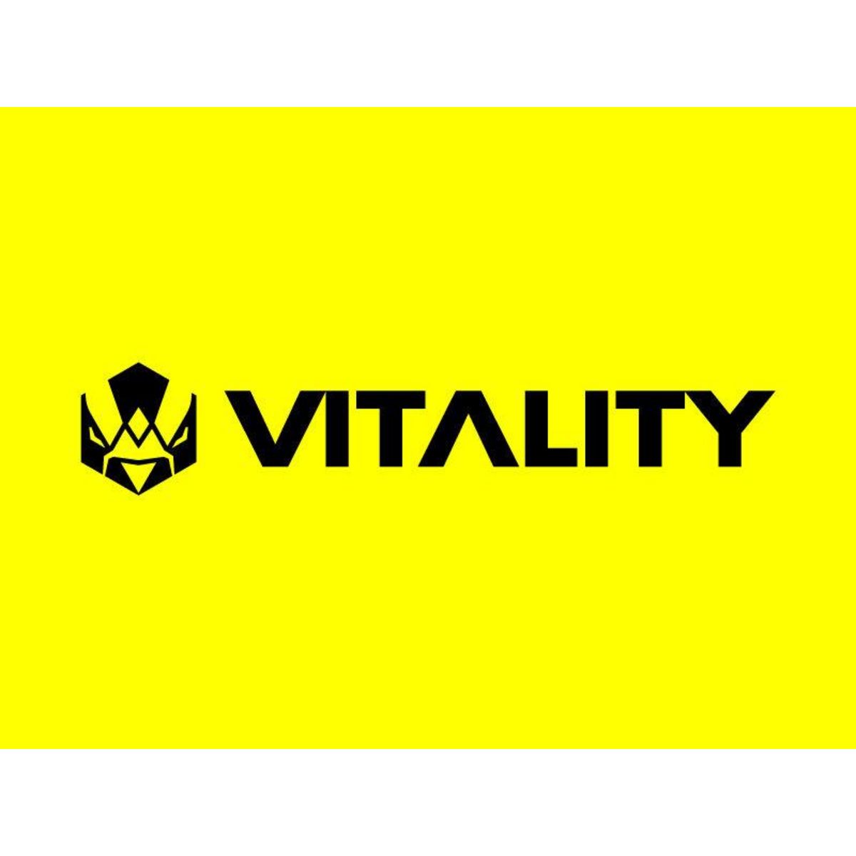 Smartbox Bon cadeau de 59,90 € sur l'e-shop de la Team Vitality et de 20 € sur Valorant - Coffret Cadeau Multi-thèmes