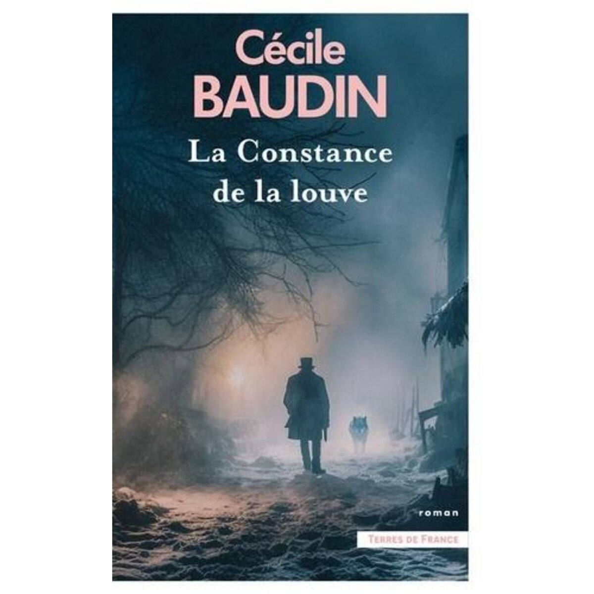 LA CONSTANCE DE LA LOUVE, Baudin Cécile
