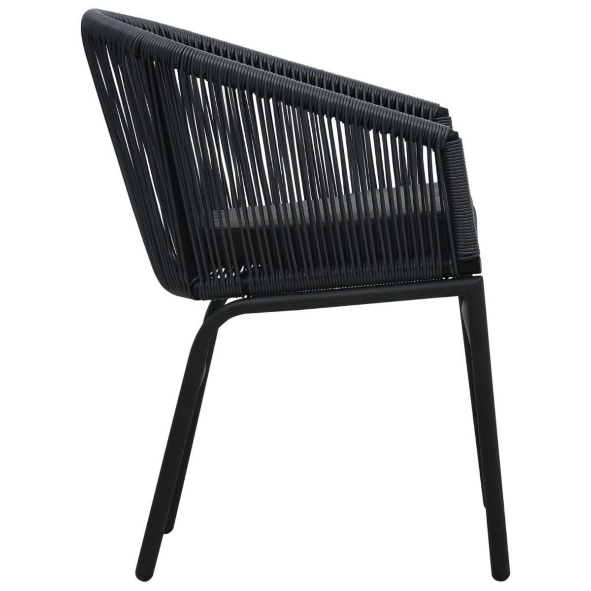 VIDAXL Chaises de jardin lot de 2 Noir Rotin PE