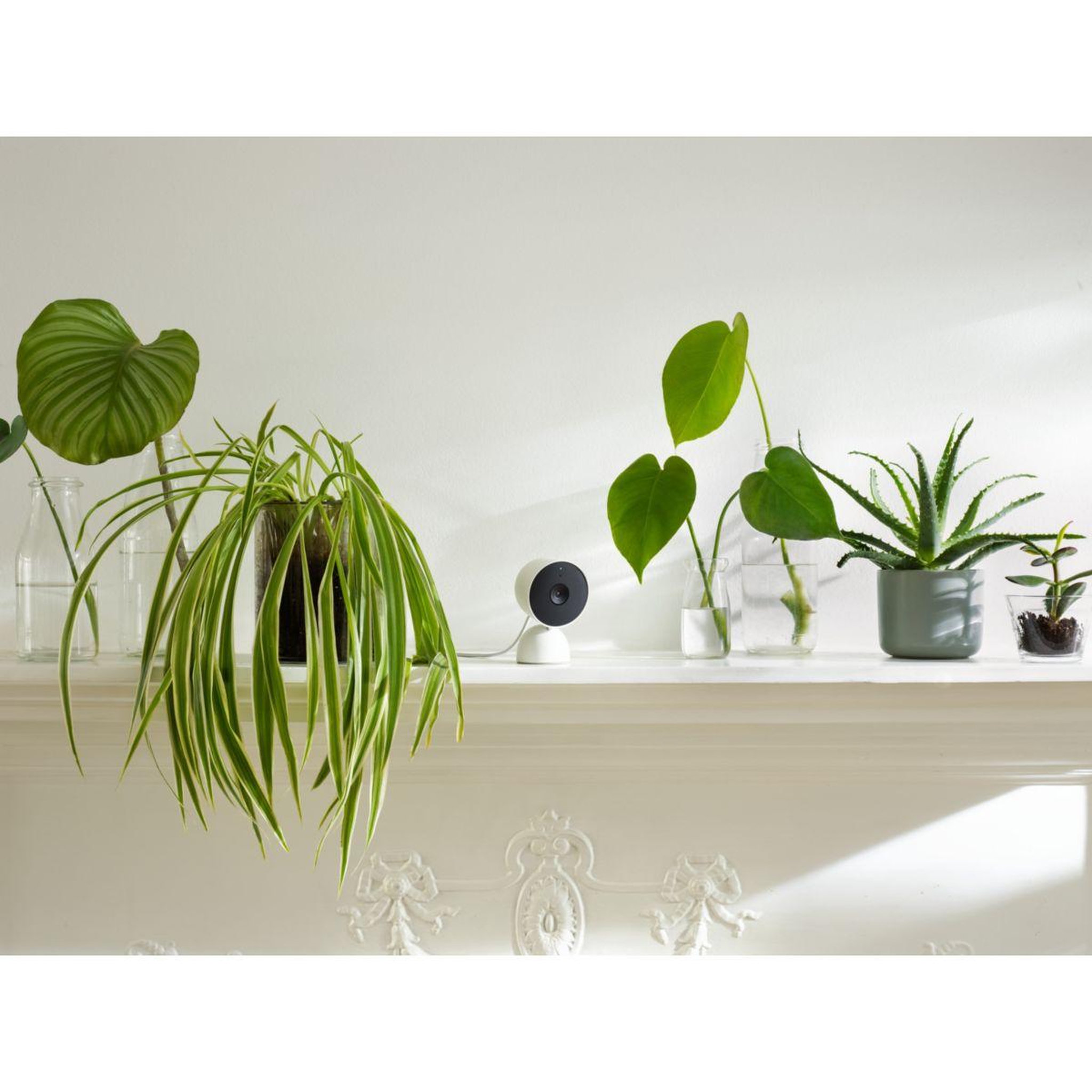 Voir la diapositive 3 : GOOGLE Caméra de surveillance Wifi Nest Cam Indoor