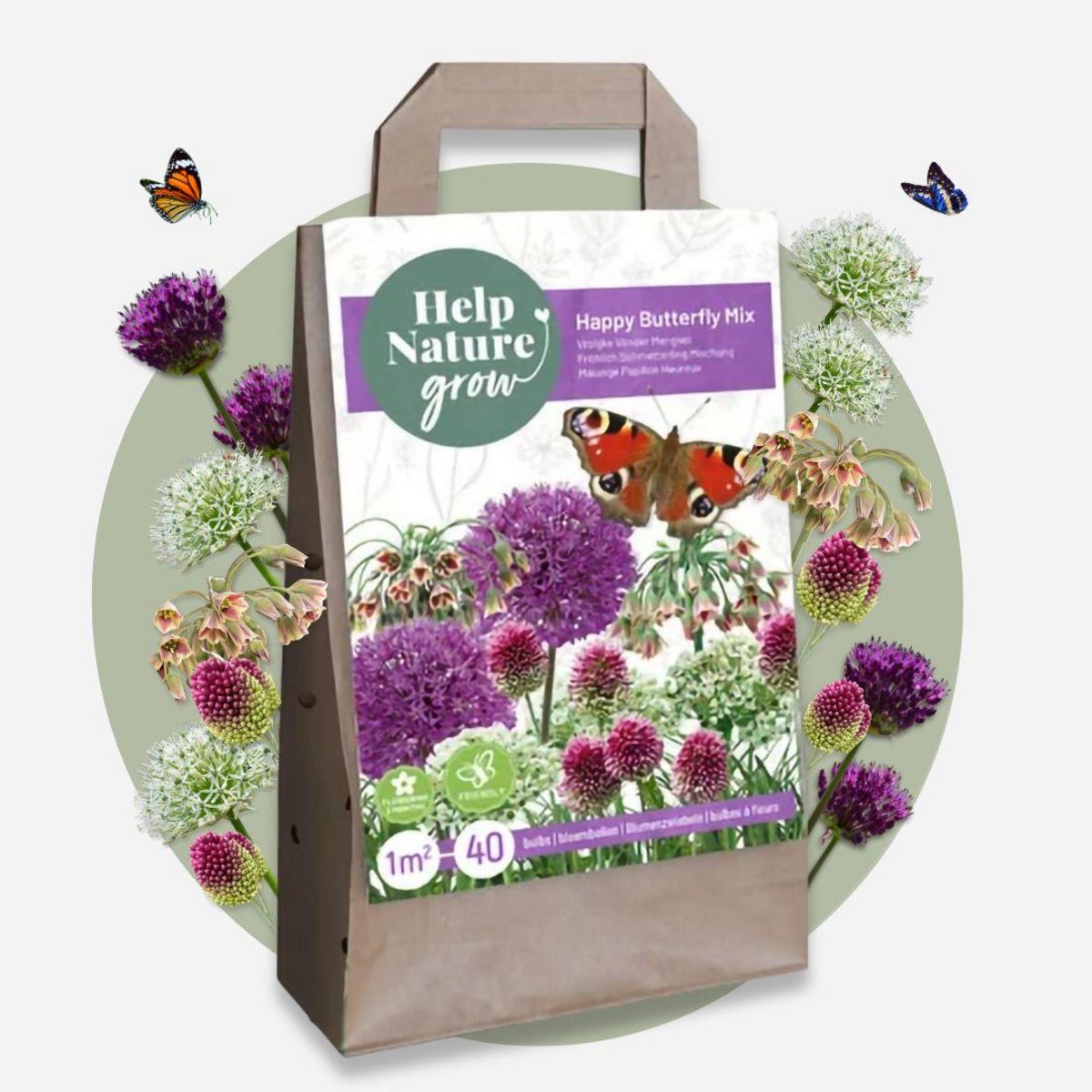 PLANT IN A BOX Mélange de bulbes qui attirent les papil - Set de 40
