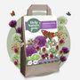 Voir la diapositive 4 : PLANT IN A BOX Mélange de bulbes qui attirent les papil - Set de 40