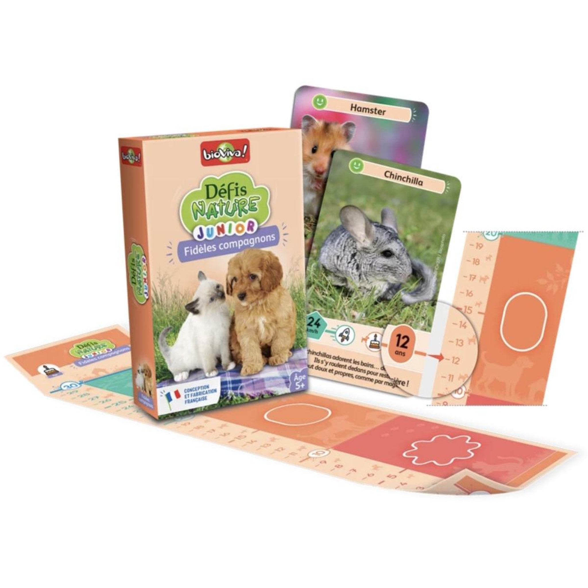 Voir la diapositive 2 : Bioviva Défis Nature Junior - Fidèles compagnons