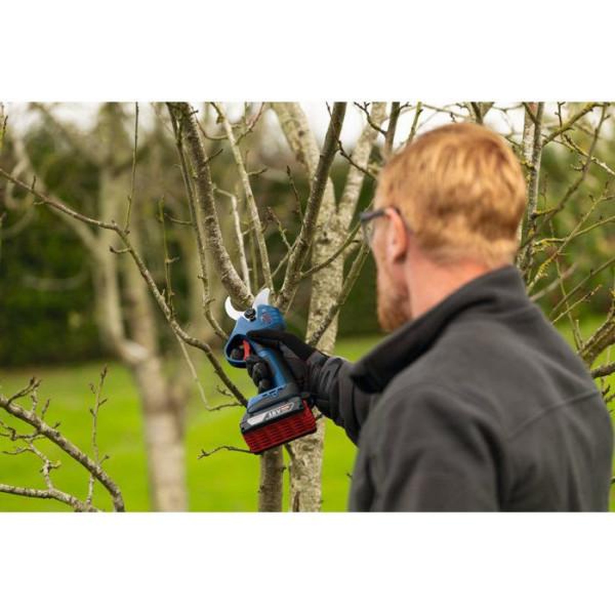 Voir la diapositive 4 : BOSCH Sécateur GGP 18V-32 solo