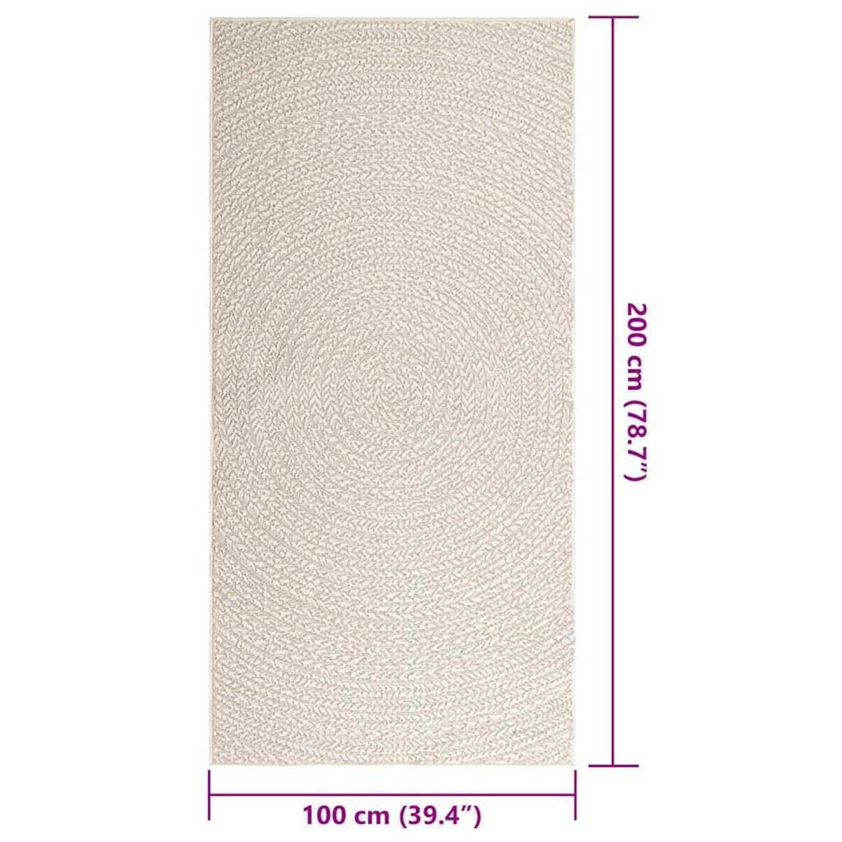 VIDAXL Tapis ZIZUR creme 100x200 cm aspect de jute interieur exterieur