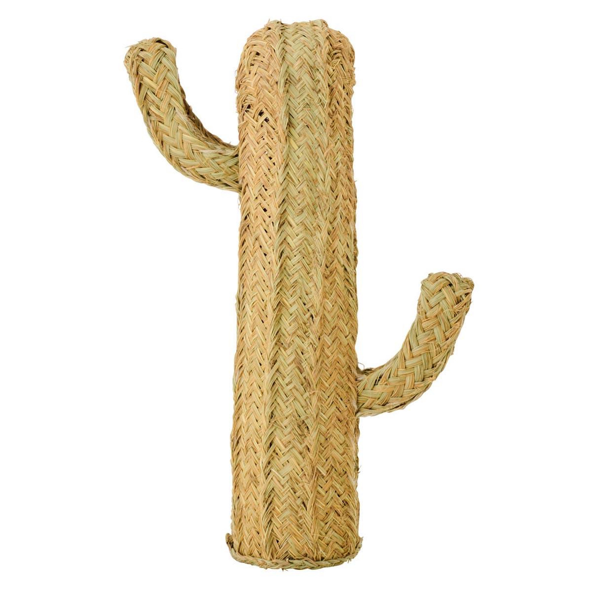 J-LINE Cactus déco herbe  afrique  70cm naturel