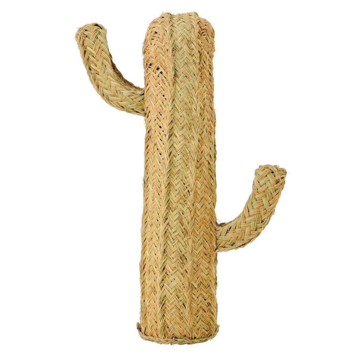 Paris Prix Cactus Déco Herbe  Afrique  70cm Naturel