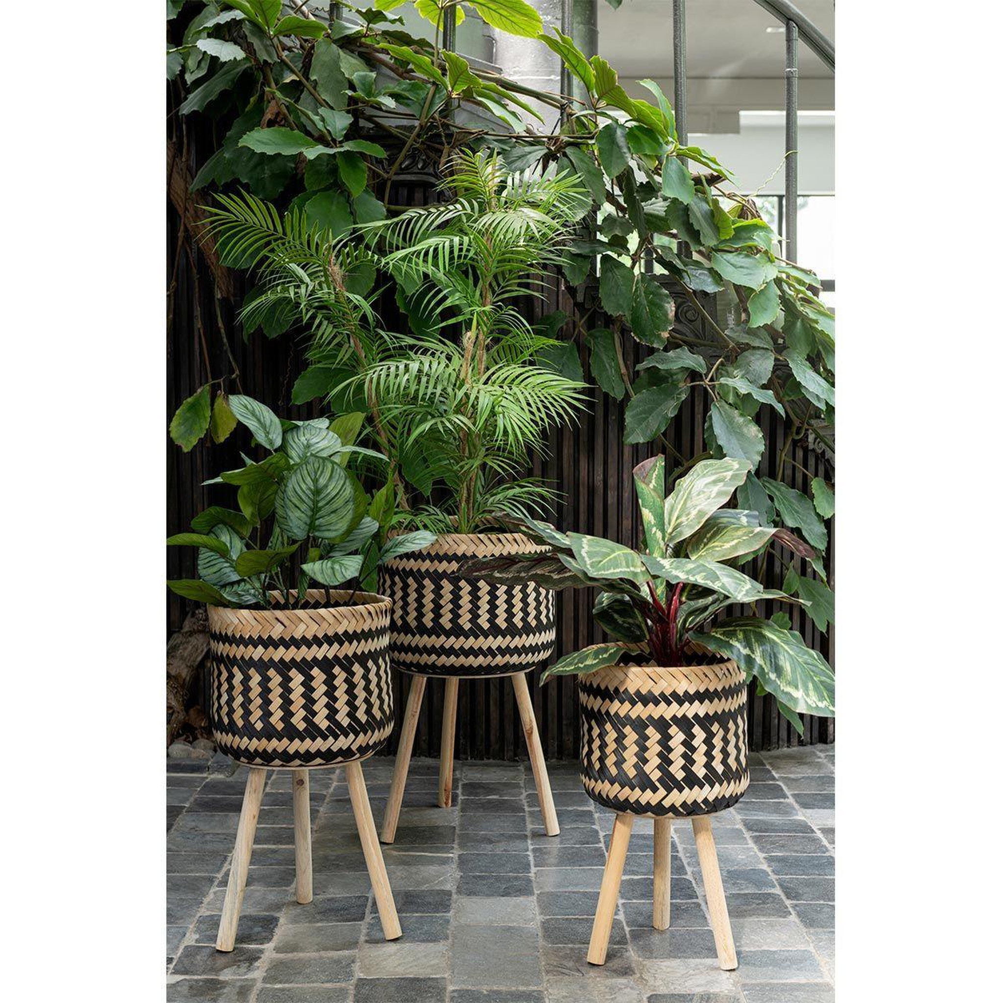 Voir la diapositive 5 : J-LINE Lot de 3 cache-pots sur pied  baudoin  66cm naturel & noir