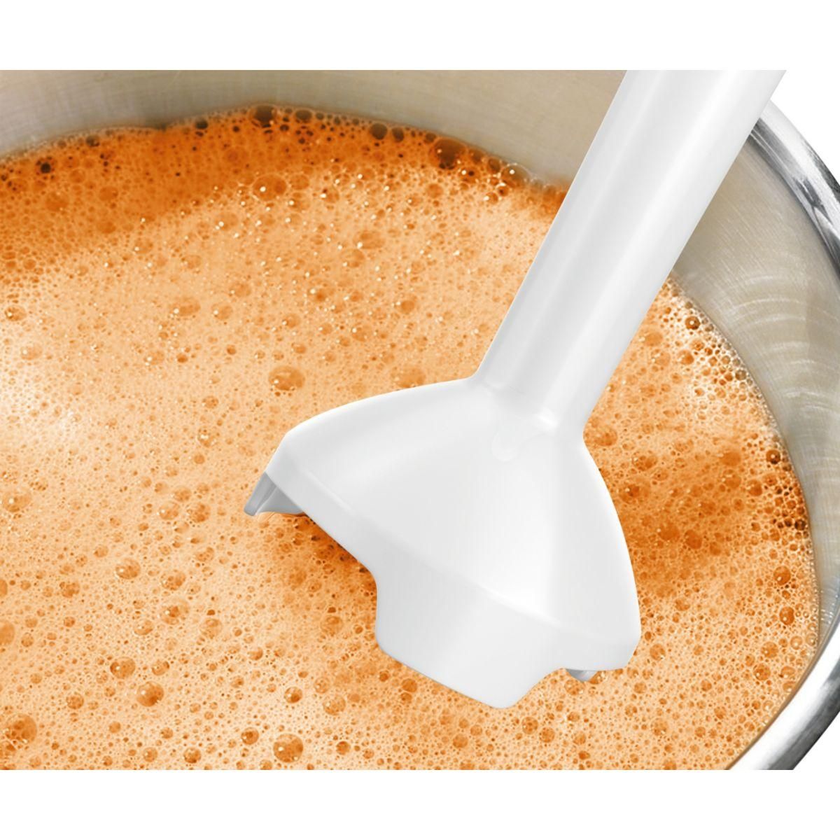 BOSCH Mixeur MSM14100