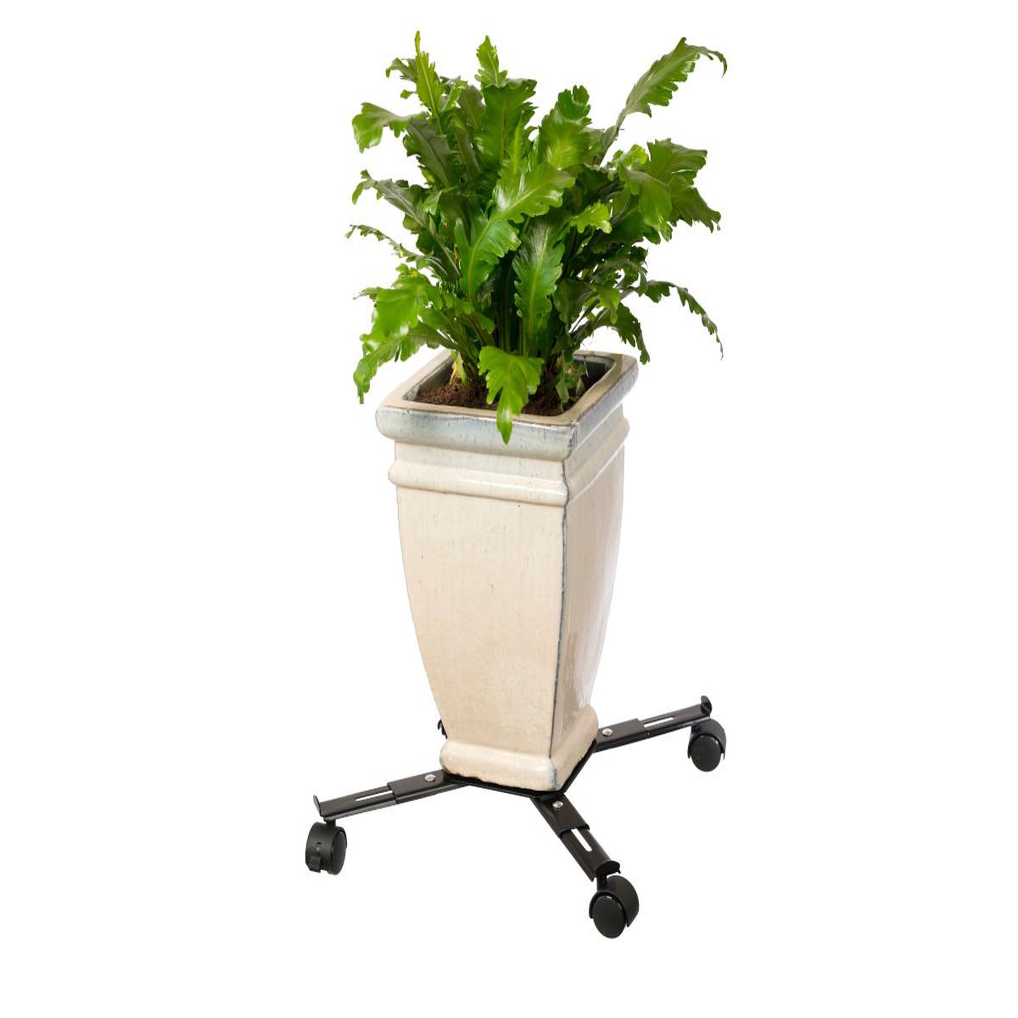 Voir la diapositive 4 : NATURE Support roulant extensible - métal époxy coloris noir mat, 4 branches, charge maxi 100 kg, 4 roulettes - 34/51 x 34/51 cm - Nature