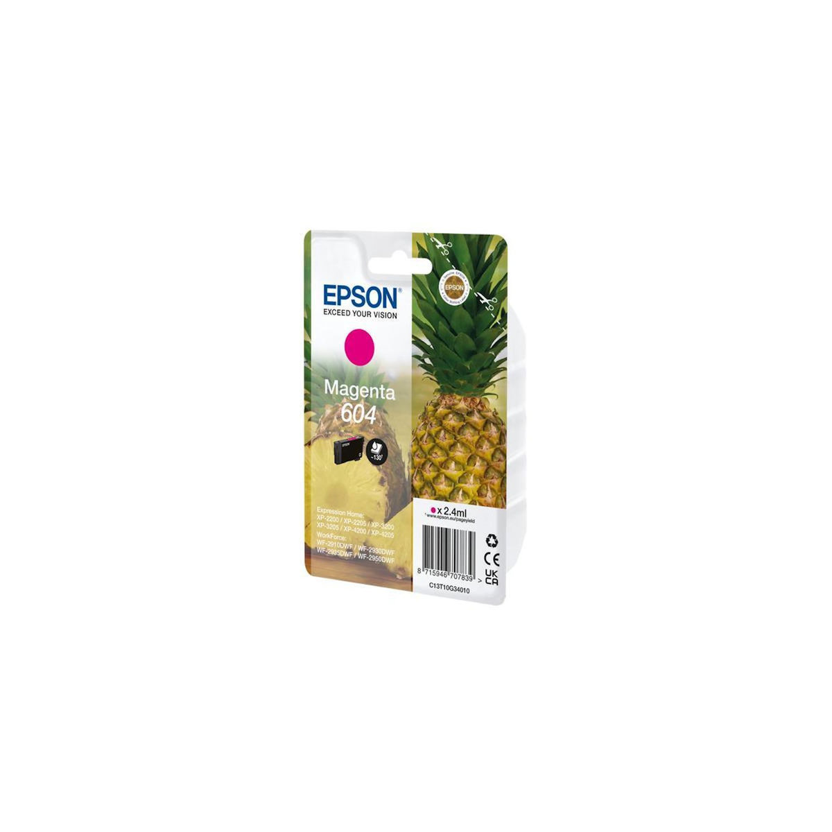 Epson Consommable EPSON C13T10G34010