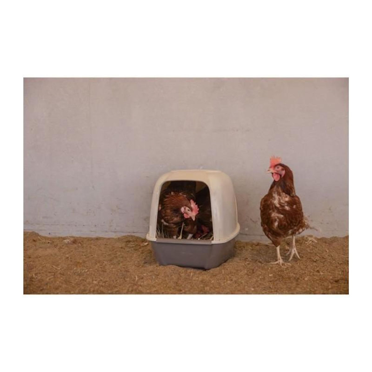 KERBL Pondoir pour poules - KERBL - 52 x 39 x 39 cm