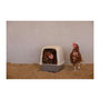 Voir la diapositive 1 : KERBL Pondoir pour poules - KERBL - 52 x 39 x 39 cm