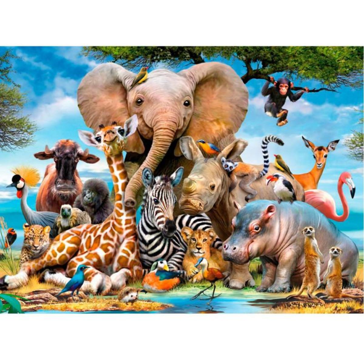 RAVENSBURGER RAVENSBURGER African friends, 300st.