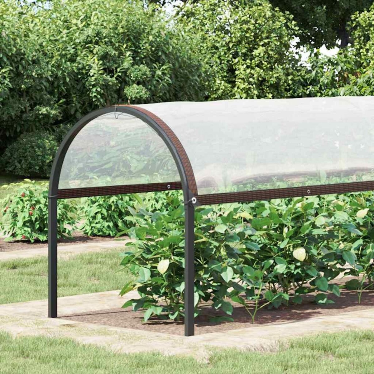 VIDAXL Housse de protection plantes avec œillets 2x8 m polyethylene